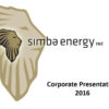 Simba-Corporate-Presentation-img